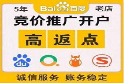 行业领先的SEM推广代运营公司案例集锦